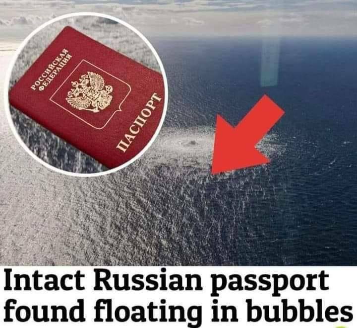 intact Russian passport found at ns2.jpg